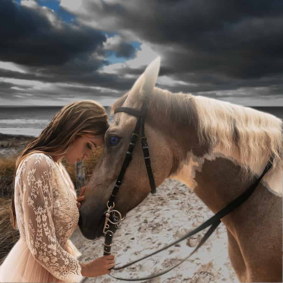 Persa ben yereq, equestrian champion, hidden past, captivating journey, dark secrets #confrontthepast #millenniumseries #resilience, courage, redemption